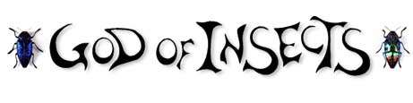 God of Insects Logo
